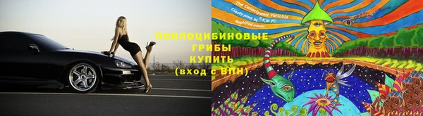 ECSTASY Волоколамск