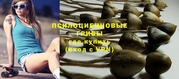 ECSTASY Волоколамск