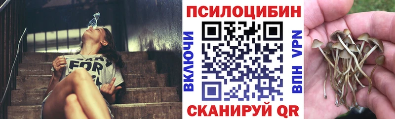 Псилоцибиновые грибы Magic Shrooms  наркотики  Альметьевск 